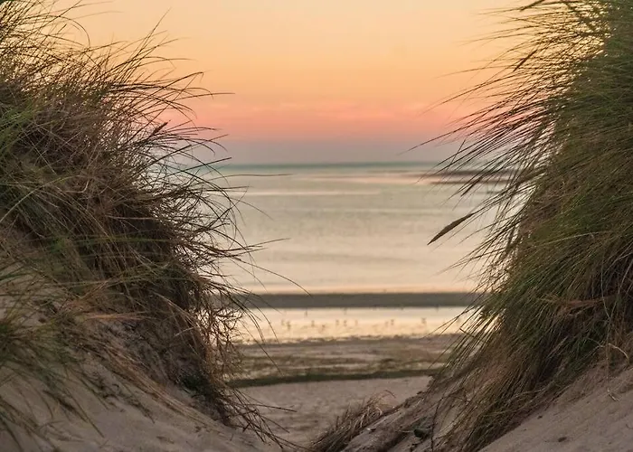 Studio Au Pied Des Dunes, 200 M De La Plage